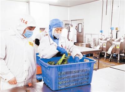 天津確保校園食品安全 監管先行，教育軟件賦能